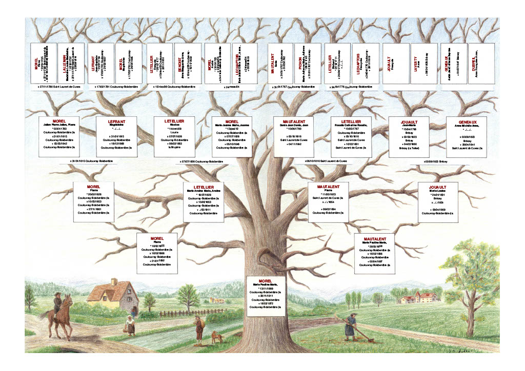 arbre de Marie Morel
